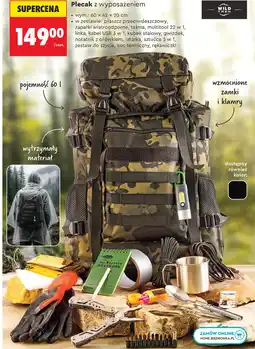 Biedronka Wild Trek Plecak z wyposażeniem oferta