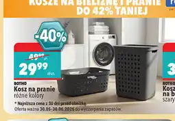 Biedronka Rotho kosz na pranie oferta