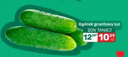 Biedronka Ogórek gruntowy luz oferta