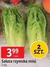 E.Leclerc Sałata rzymska mini oferta