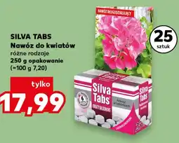 Kaufland Nawóz Silva tabs oferta