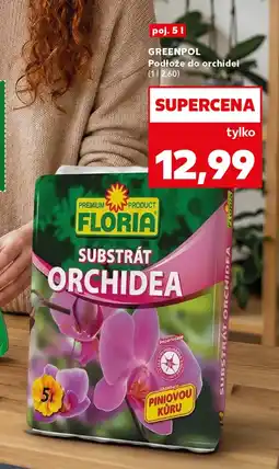 Kaufland Orchidea Greenpol oferta