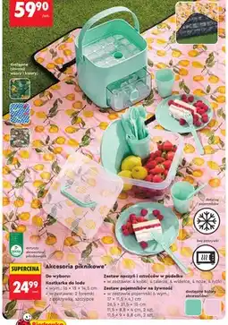 Biedronka Kostkarka do lodu Smukee oferta