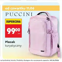 Biedronka Plecak turystyczny Puccini oferta