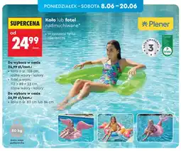 Biedronka Koło nadmuchiwane Plener śr. 108 cm oferta