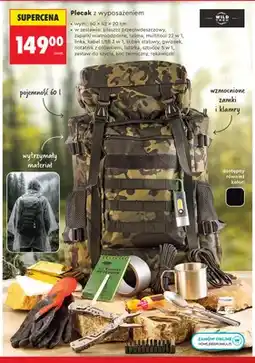 Biedronka Plecak z wyposażeniem Wild Trek oferta