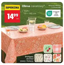 Biedronka Obrus ceratowy Smukee oferta