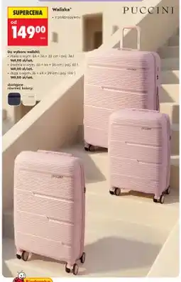 Biedronka Walizka z polipropylenu Puccini mała oferta