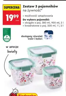 Biedronka Zestaw 3 pojemników na żywność okrągłe 3-pak oferta