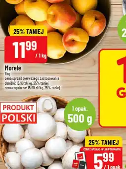 Polomarket 7Days Rogal oferta