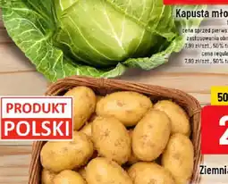 Polomarket Pieczarki oferta