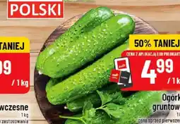 Polomarket Sałata masłowa oferta
