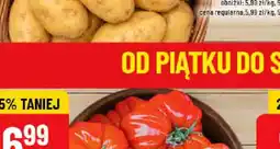 Polomarket Rzodkiewki oferta