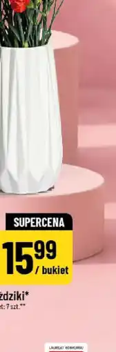 Polomarket Astromeria oferta