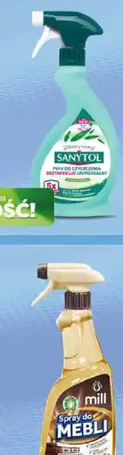 Polomarket Goździki oferta