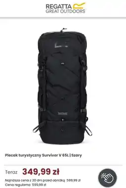Regatta Plecak turystyczny Regatta Survivor V 65 l szary oferta