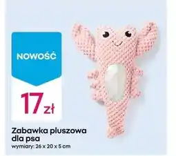 Pepco Zabawka dla psa oferta