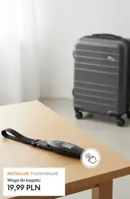 Sinsay Waga do bagażu oferta