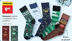 Biedronka Skarpety męskie Master oferta