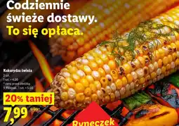 Lidl Kukurydza oferta