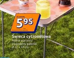 Action Świeca oferta