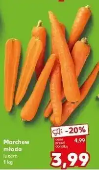 Kaufland Marchew młoda luzem oferta