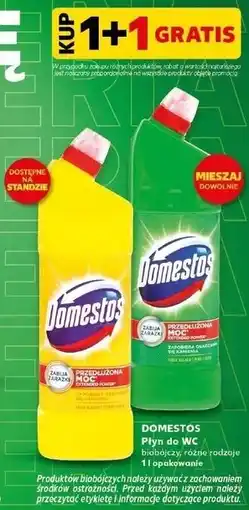 Kaufland Domestos Płyn do WC oferta