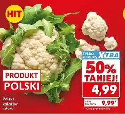 Kaufland Polski kalafior oferta