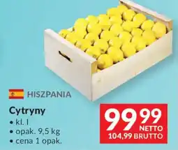 Makro Cytryny oferta