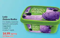 Makro Zielona Budka Lody o smaku owoców leśnych oferta