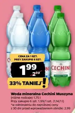 Netto Woda mineralna Cechini Muszyna oferta