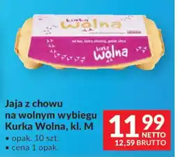 Makro Kurka Wolna Jaja z chowu na wolnym wybiegu, kl. M oferta