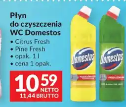 Makro Domestos Płyn do czyszczenia wc oferta