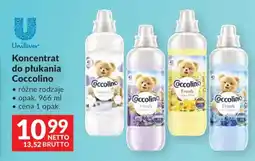Makro Coccolino Koncentrat do płukania oferta