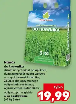 Kaufland Prima Garden Nawóz do trawnika oferta