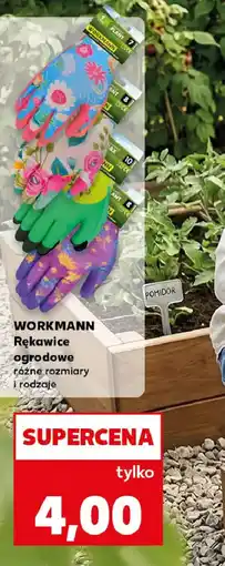 Kaufland Workmann Rękawice ogrodowe oferta