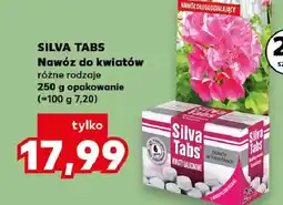 Kaufland Silva Tabs Nawóz do kwiatów oferta