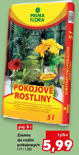 Kaufland Prima Flora Ziemia do roślin pokojowych oferta