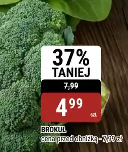bi1 Brokuł oferta