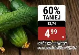 bi1 Ogórek gruntowy oferta