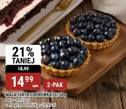bi1 Mała tarta z borówką oferta