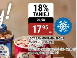 bi1 Sammontana Lody oferta