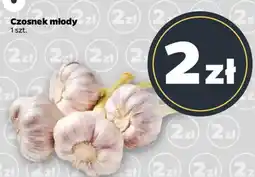 Netto Czosnek młody oferta