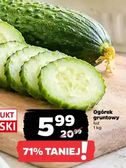 Netto Ogórek gruntowy oferta