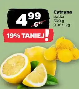 Netto Cytryna oferta