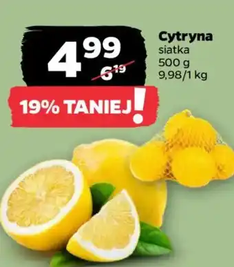 Netto Cytryna oferta