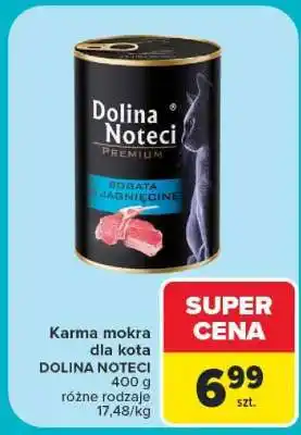 Carrefour Dolina Noteci oferta