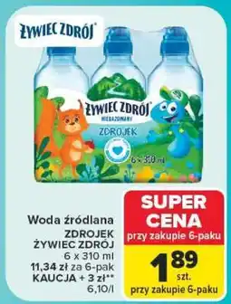 Carrefour ŻYWIEC ZDRÓJ oferta