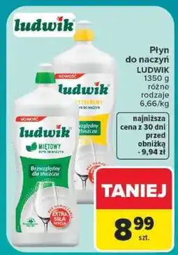 Carrefour LUDWIK oferta