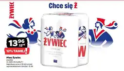 Netto Piwo Żywiec oferta